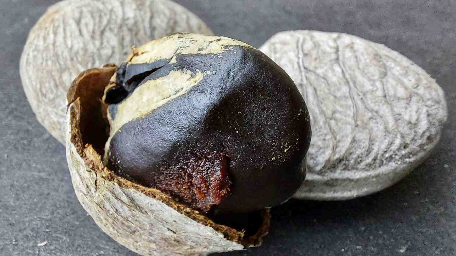 kluwek yang siap dijadikan rempah kuliner