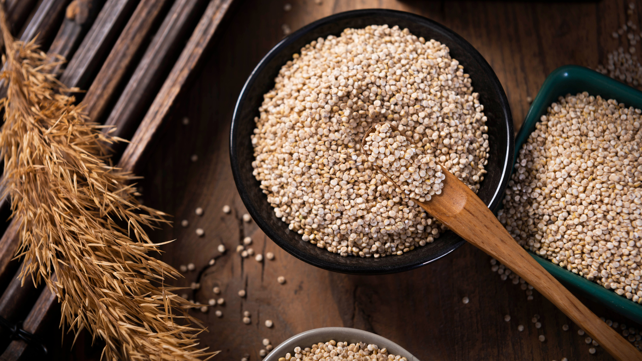 quinoa