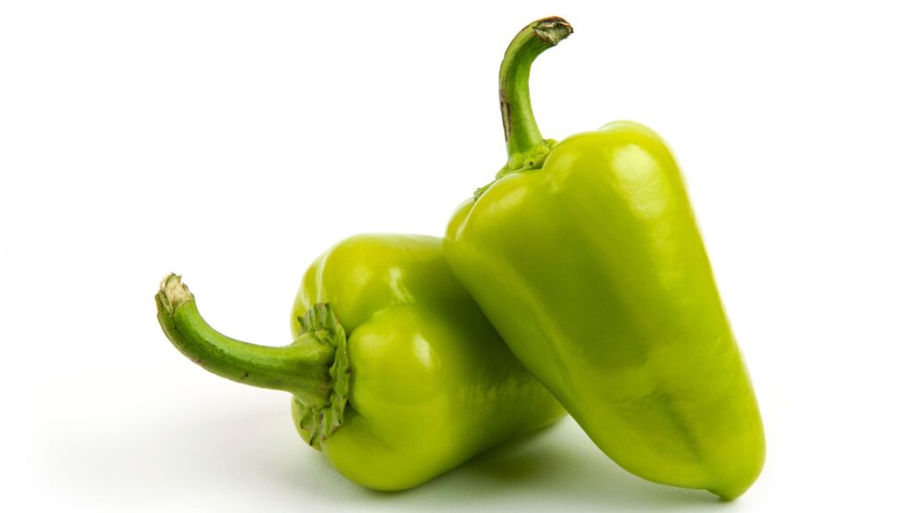 bentuk cabe gendot.