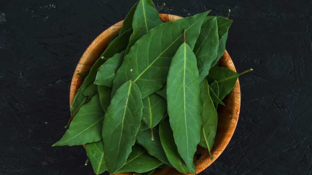 Daun salam untuk kesehatan.