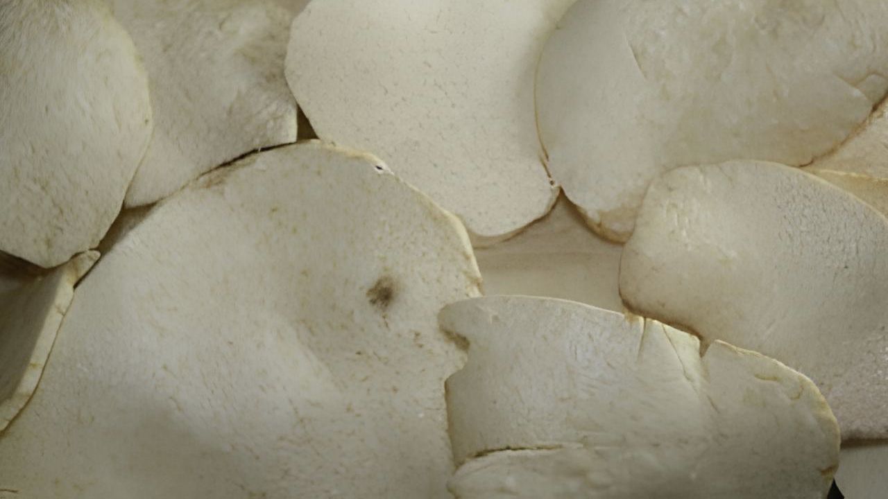 keripik gadung