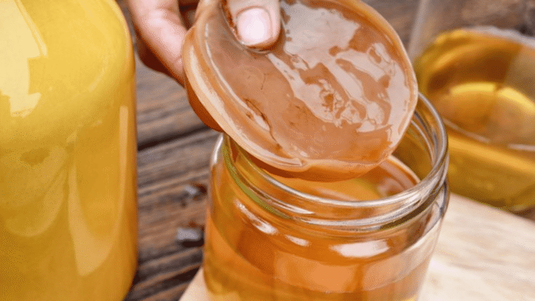 Scoby Kombucha