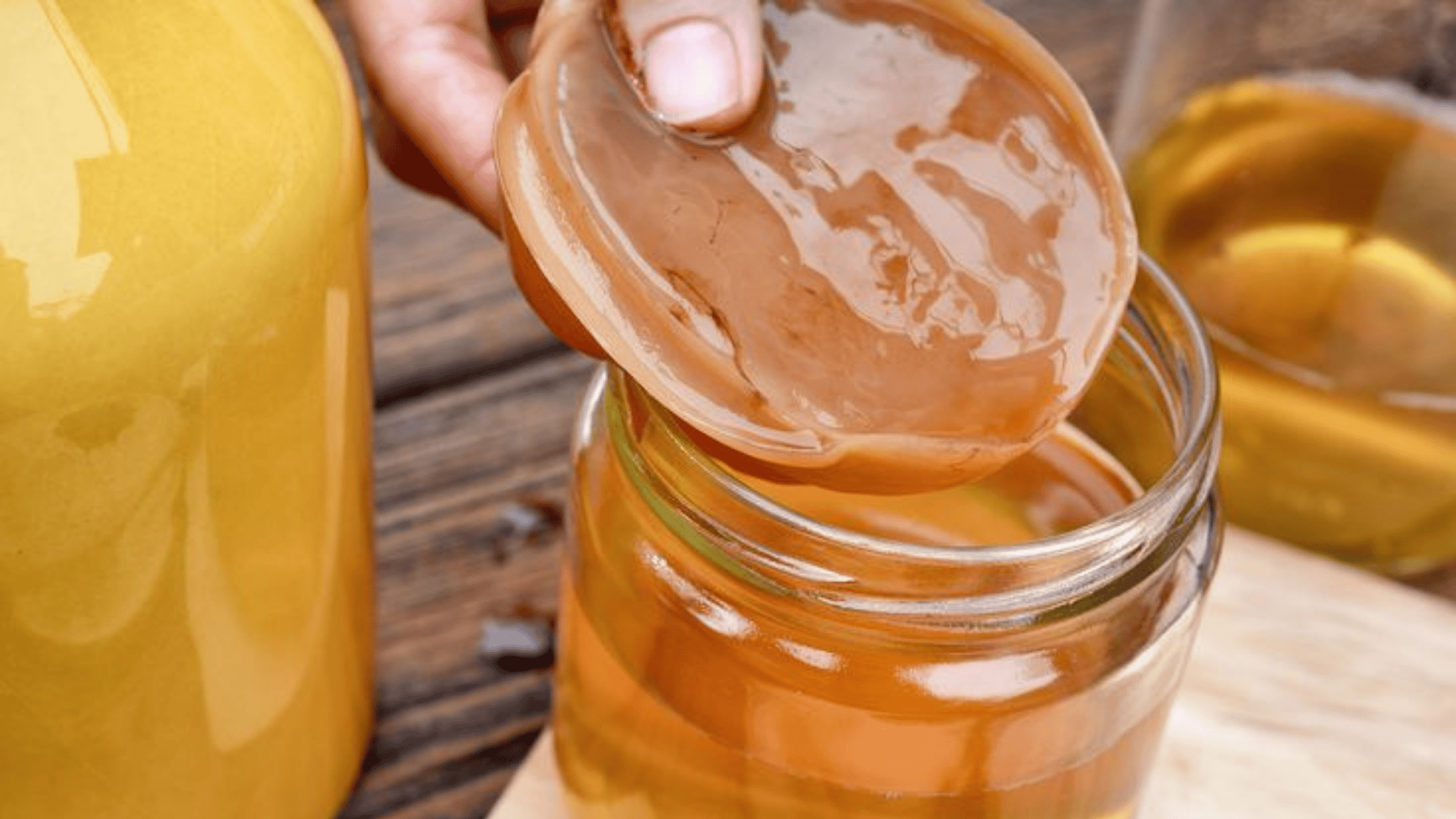 Scoby Kombucha