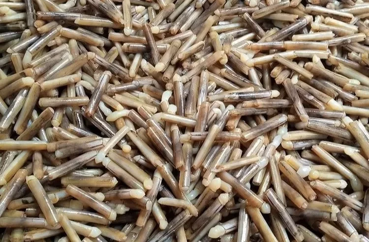 Lorjuk Khas Madura